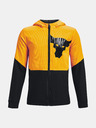 Under Armour UA Project Rock Legacy Jacke