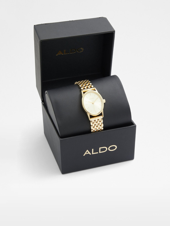 Aldo Gethin Armbanduhr Gold