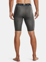 Under Armour HG Armour Lng  Shorts