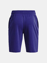 Under Armour UA Rival Terry Shorts