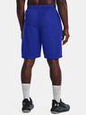 Under Armour UA Perimeter 11'' Shorts