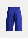 Under Armour UA Perimeter 11'' Shorts