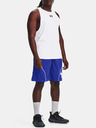 Under Armour UA Perimeter 11'' Shorts