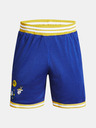 Under Armour Curry Mesh 2 Shorts