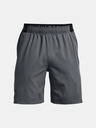 Under Armour UA Vanish Woven 8in Shorts