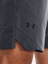 Under Armour UA Vanish Woven 8in Shorts