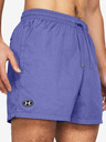 Under Armour UA Icon Crnk Volley Shorts