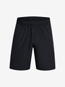 Under Armour UA Woven Wdmk Shorts