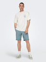 ONLY & SONS Peter Shorts