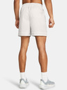 Under Armour Curry Woven Shorts