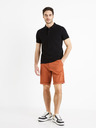 Celio Bochinobm Shorts