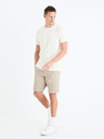 Celio Bochinobm Shorts