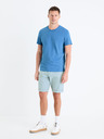 Celio Bochinobm Shorts