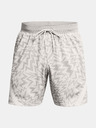 Under Armour Curry Mesh Short 2 Shorts