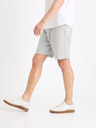 Celio Dolincobm 30 Shorts