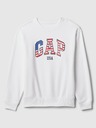 GAP USA Sweatshirt