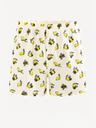 Celio Giwolemon Boxershorts