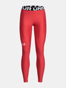 Under Armour UA HG Authentics Legging