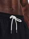 Under Armour UA Essential Volley Shorts