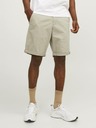 Jack & Jones Bowie Shorts