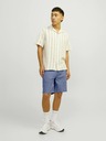 Jack & Jones Ace Shorts