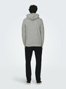 ONLY & SONS Lenny Sweatshirt