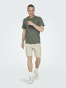 ONLY & SONS Sinus Shorts