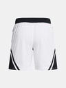 Under Armour Curry Mesh Short 4 Shorts