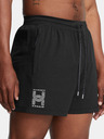 Under Armour UA Run Anywhere Shorts