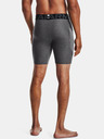 Under Armour UA HG Armour Shorts