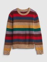 GAP Kinderpullover