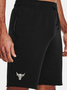 Under Armour Project Rock Terry Shorts