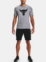 Under Armour Project Rock Terry Shorts