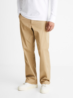 Celio Coloose1 Hose