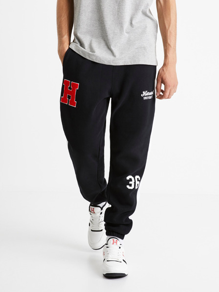 Celio Harward University Jogginghose