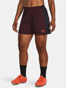 Under Armour UA W's Ch. Knit Shorts