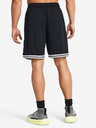 Under Armour UA Perimeter Shorts