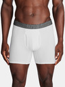 Under Armour UA Performance Cotton 6in Boxershorts 3 Stück