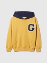 GAP Sweatshirt Kinder