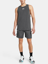 Under Armour UA Baseline Shorts