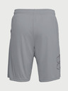 Under Armour UA Tech Graphic Shorts