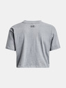 Under Armour UA Collegiate Crest Crop SS T-Shirt