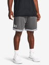 Under Armour UA Perimeter Shorts