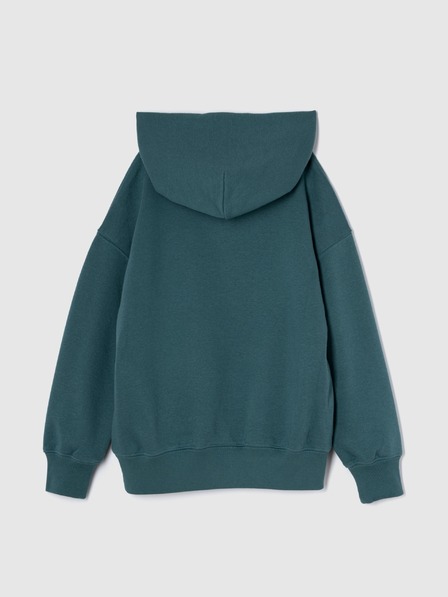 GAP Sweatshirt Kinder