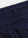 Under Armour Challenger Knit Shorts