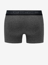 Replay Boxershorts 2 Stück