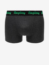 Replay Boxershorts 2 Stück