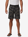 Columbia Silver Ridge Shorts