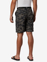 Columbia Silver Ridge Shorts