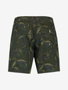 O'Neill Kamakou Shorts